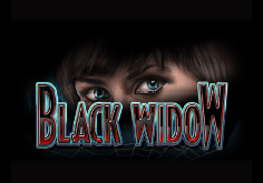 Black Widow Slot