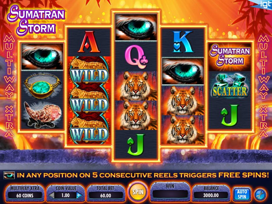 Sumatran Storm Slot Review