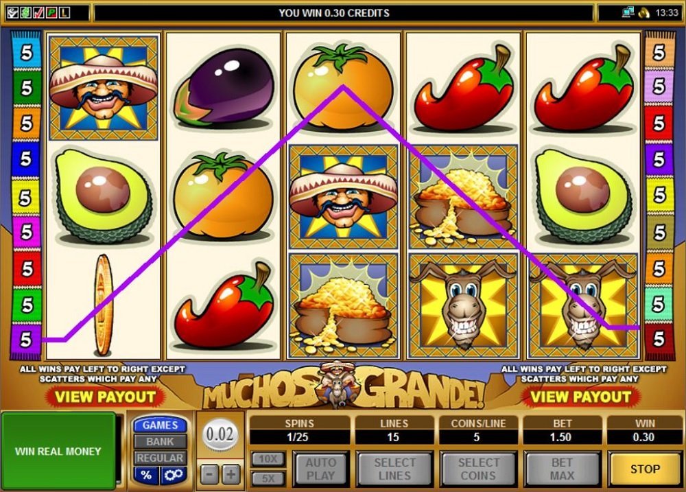 Muchos Grande Slot Review