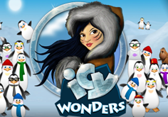 Icy Wonders Slot